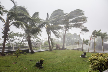 Cyclone "Bejisa" raging, La Réunion