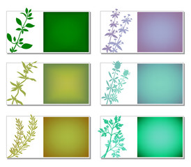 Aromatic Herbs Banners