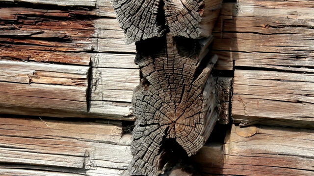 Damaged log of the cabin log