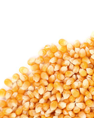 Closeup of corn grains.