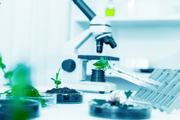 Modern microscopes in a lab