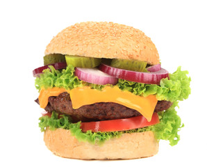 Big appetizing fast food hamburger.