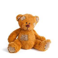 teddy bear  isolated  white background