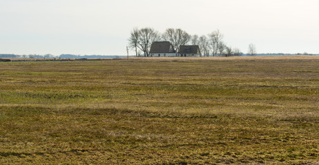 House in wetland in winter