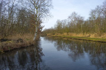 Fototapeta na wymiar Canal through wetland in winter