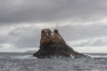 scoglio delle galapagos