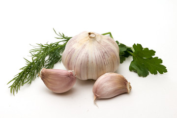 Garlic and parsley on a white background