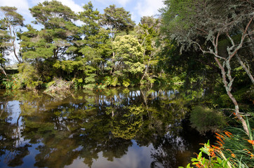 KeriKeri - New Zealand