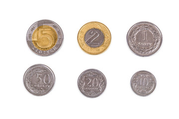 Polish coins