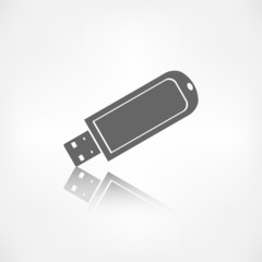 Usb flash drivo web icon