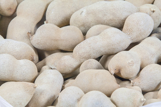 Tamarind fruit in Thailand.