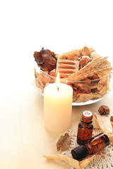 dried plant and wood for aromatherapy image