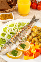 Delicious grilled fish on plate on table close-up