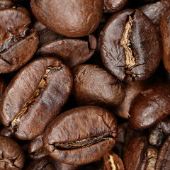Texture background coffee beans closeup