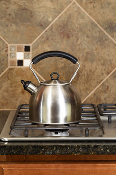 Stainless Steel Tea Pot on Range