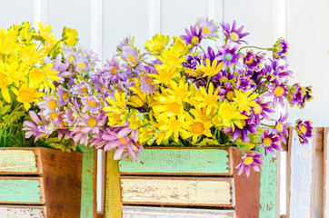 Interior plastic flower in vase