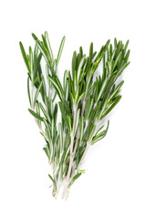 rosemary isolated on white background