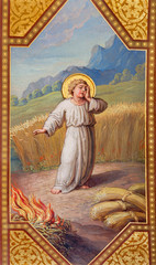 Obraz premium Vienna - little Jesus in parable of The Weeds in the Grain