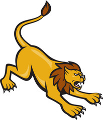 Angry Lion Attacking Side