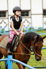 Horse riding, portrait of lovely equestrian on a horse