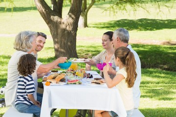 Obraz premium Extended family having lunch in lawn