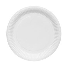 Disposable paper plate isolated on a white background.