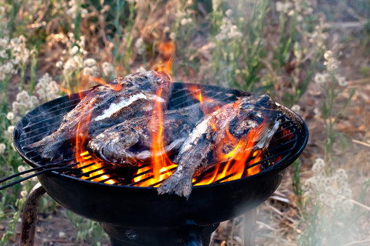 Sea Bream Fish Grilling On BBQ