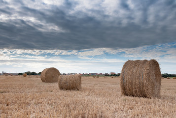 Straw bales in a field