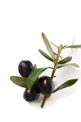 olives on background
