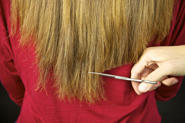 Scissors cutting long hair