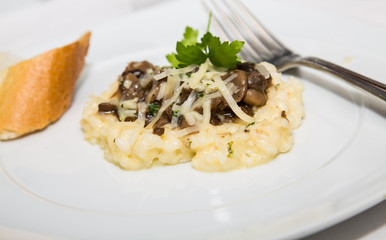 Mushroom Risotto Appetizer