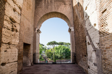 Fototapeta na wymiar Looking Through Arch in Coliseum