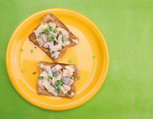 sandwiches with herring and green onions, on green background