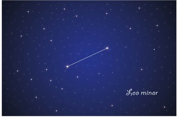 Obraz na płótnie Canvas Constellation Leo minor