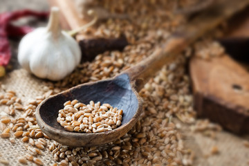 Bread rye spikelets on an old background