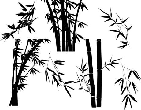 black bamboo branches collection set