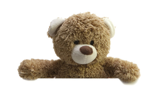 ours en peluche annonce publicitaire