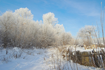 Beautiful winter rural landscape