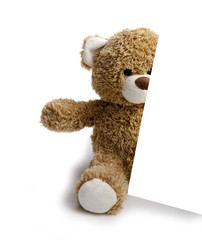 ours en peluche et carton de publicité