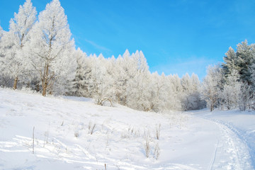 Beautiful winter landscape