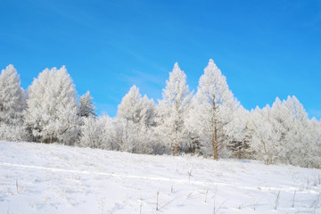 Beautiful winter landscape