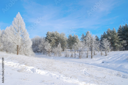 500_F_61897509_3odTeje88d1yxJ1lqJrgWuhmgL8uRfQL.jpg