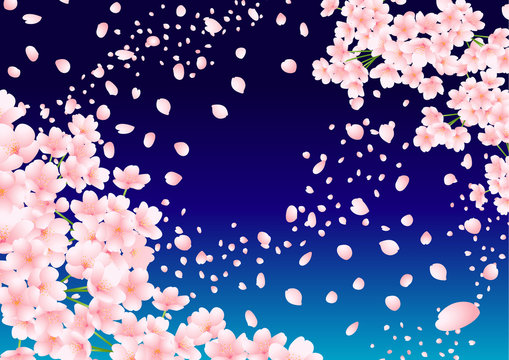 桜