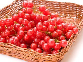 Fresh cranberries in basket isolated on white background