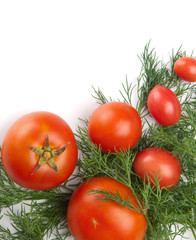 fresh tomatoes on white background