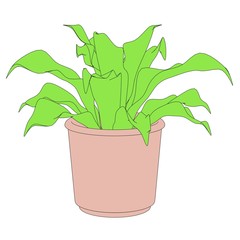 cartoon image of plant in pot