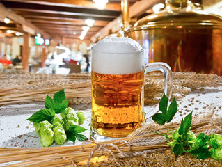 beer and hops