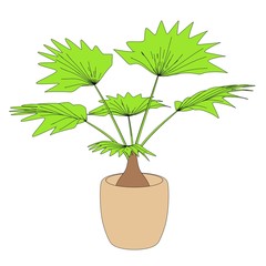 cartoon image of plant in pot