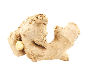 Ginger root isolated