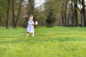 Beautiful baby girl in a blue dress running with a big white ast